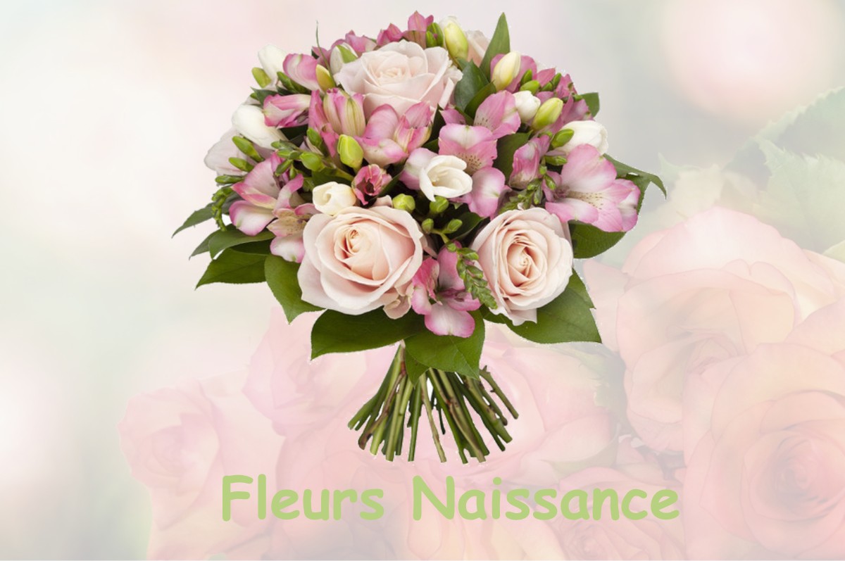 fleurs naissance PRESERVILLE