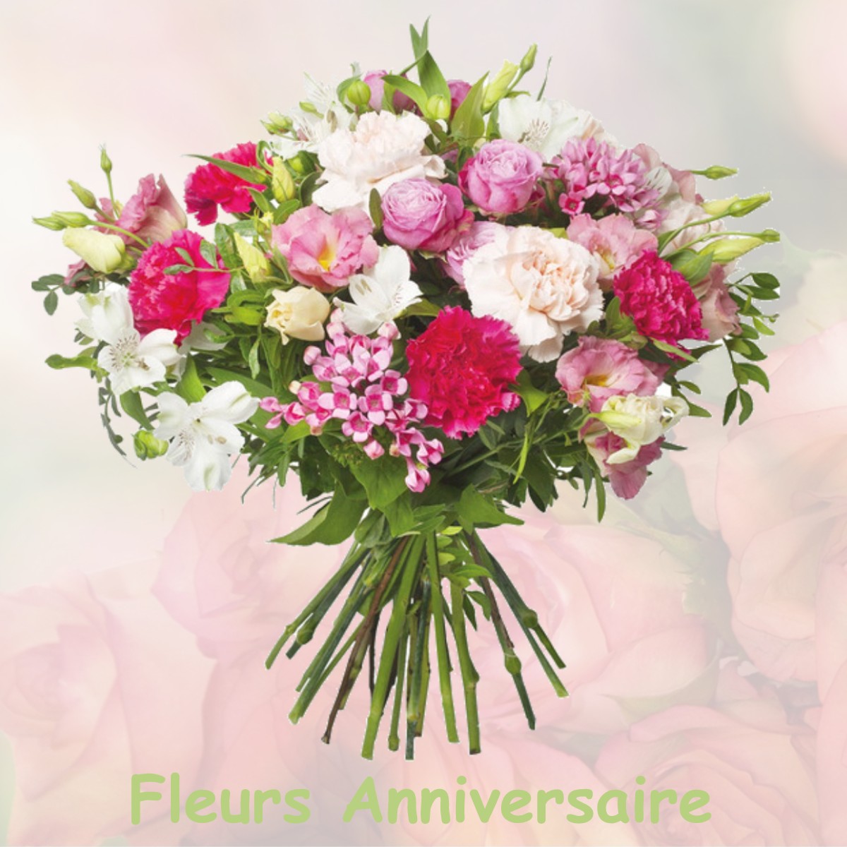 fleurs anniversaire PRESERVILLE