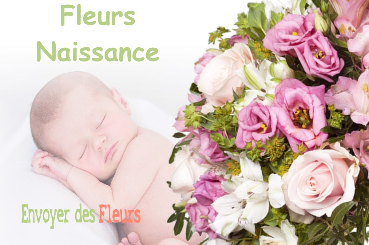 lIVRAISON FLEURS NAISSANCE à PRESERVILLE